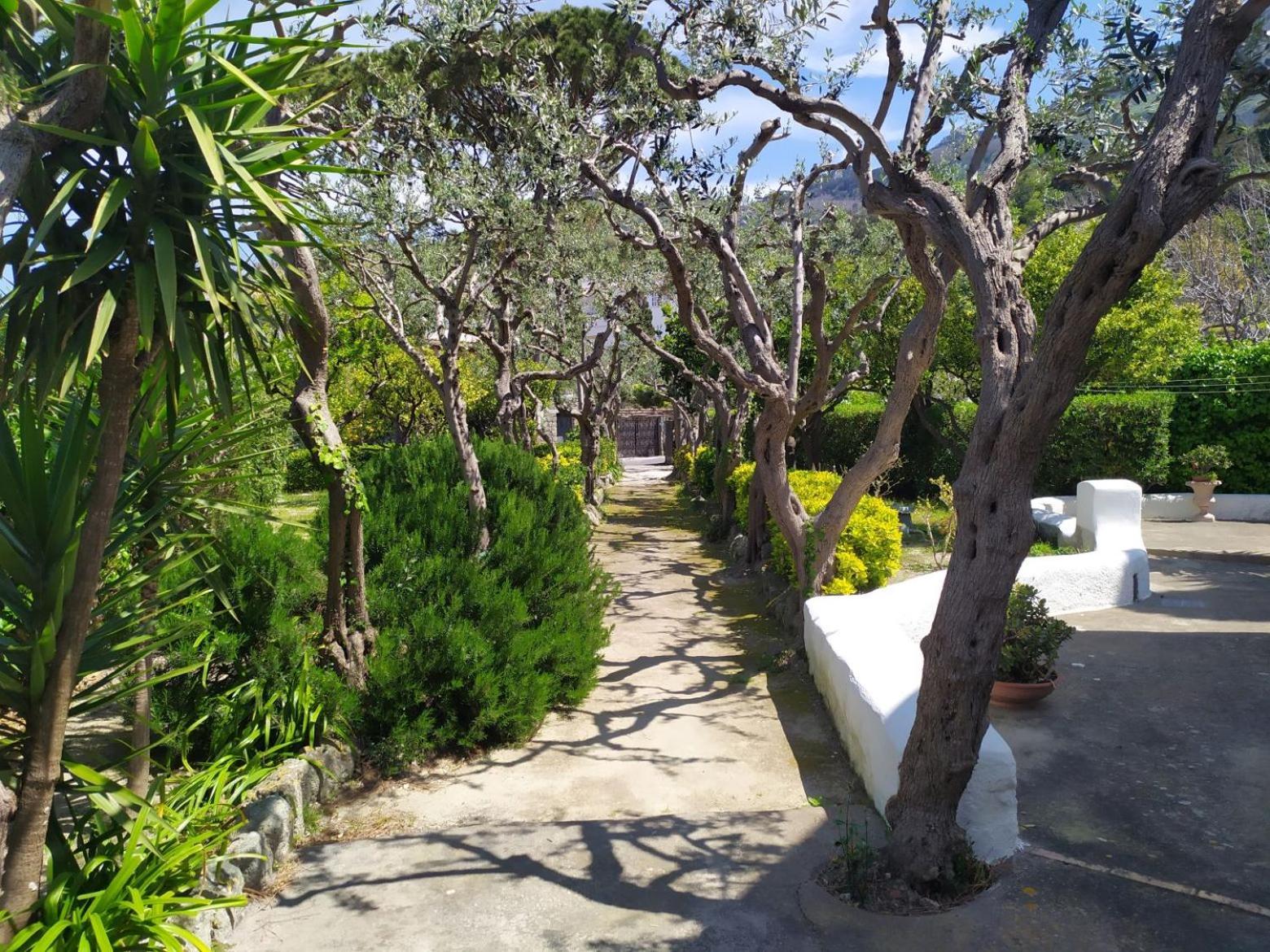 拉韦诺公寓式酒店 Forio di Ischia 外观 照片