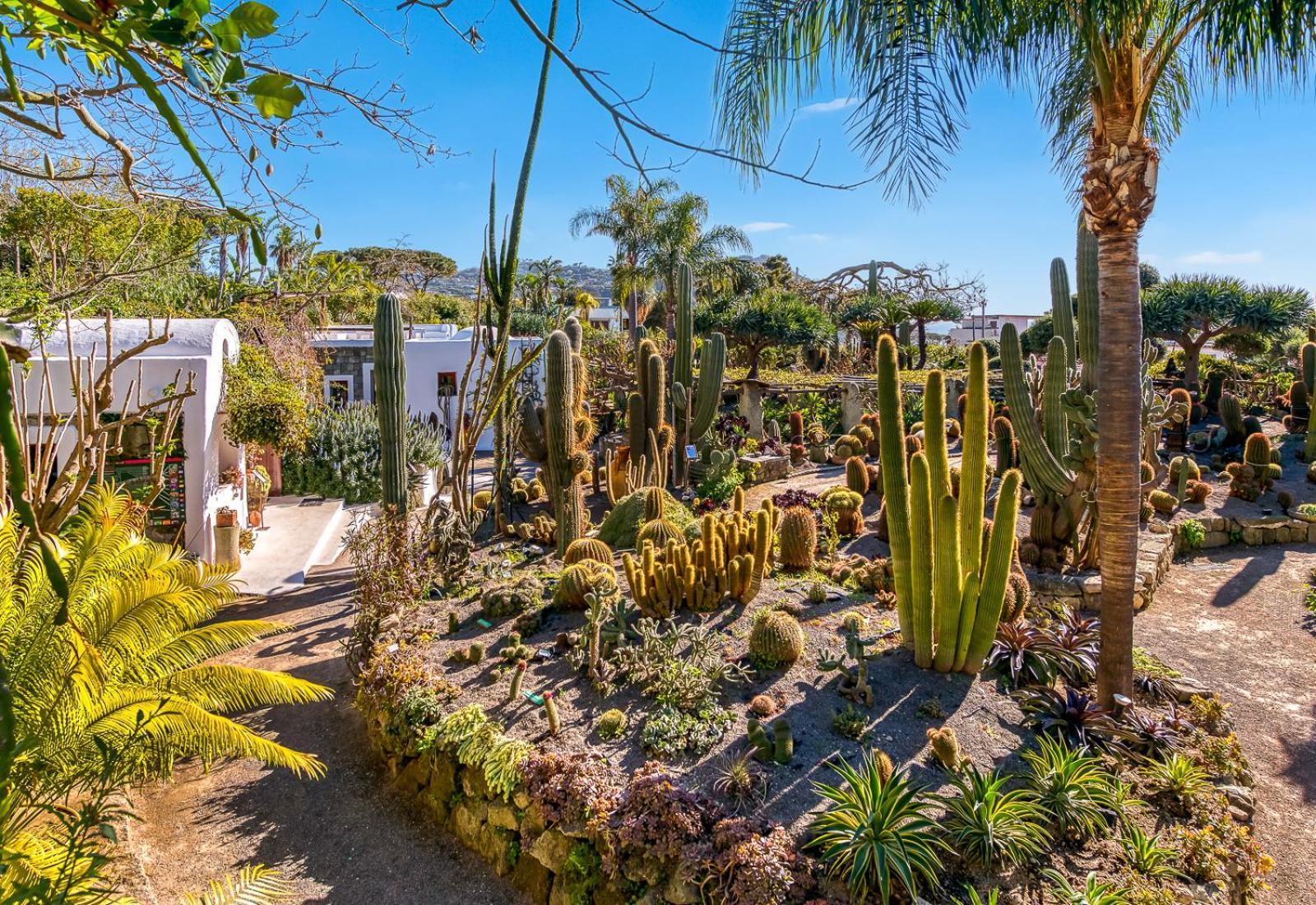 拉韦诺公寓式酒店 Forio di Ischia 外观 照片